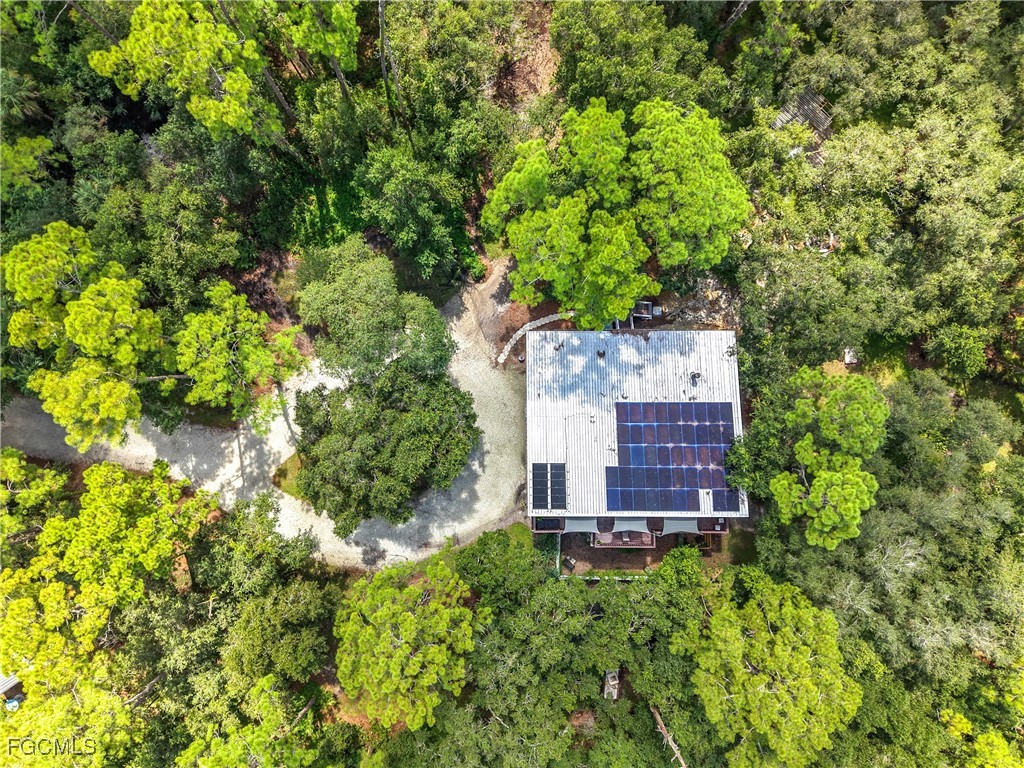 1270 Tom Coker Road Labelle FL 33935 2025014086 image43