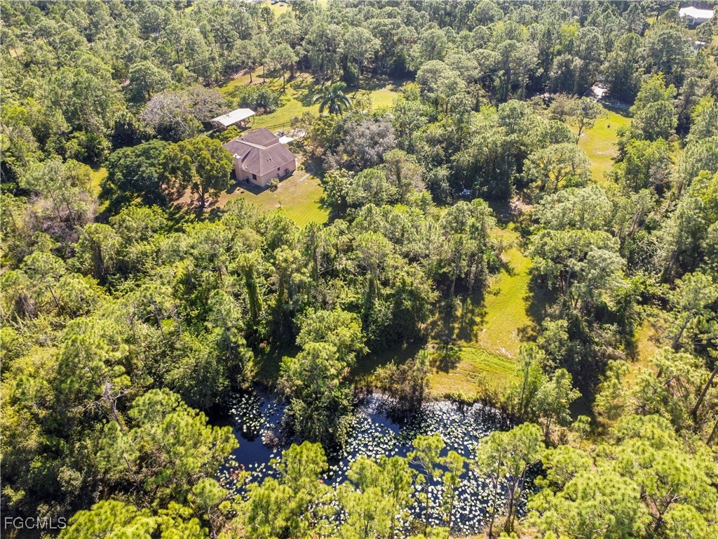 12700 81st Street Fellsmere FL 32948 2025022523 image3