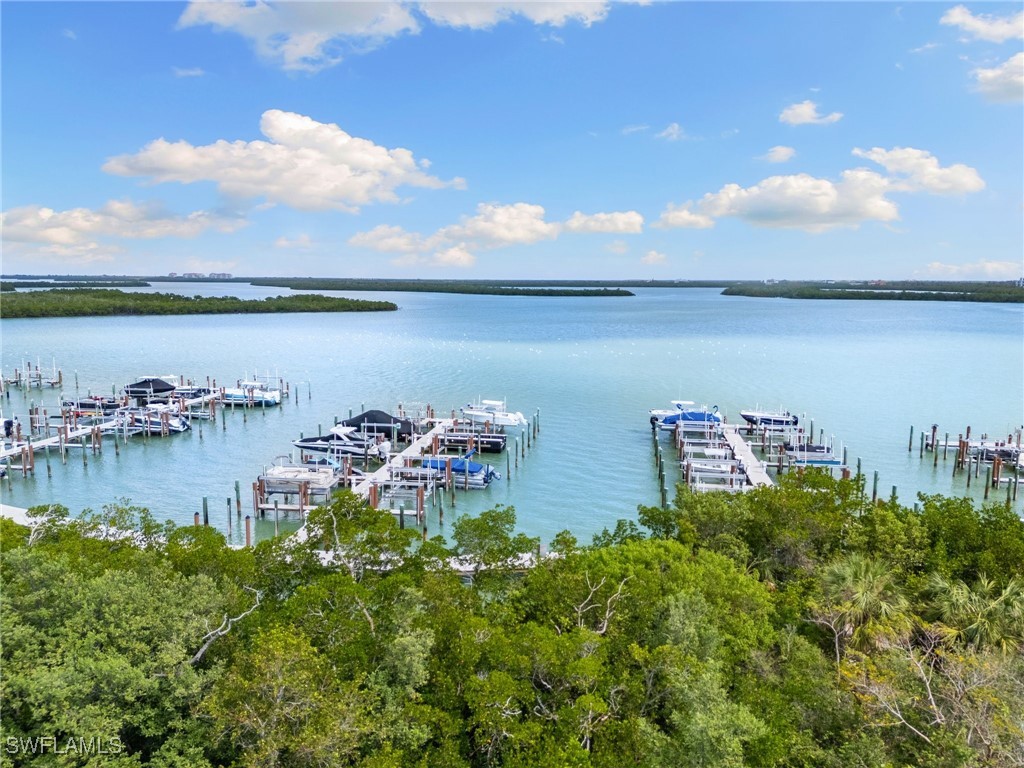 1279 Blue Hill Creek Drive Marco Island FL 34145 224089158 image14