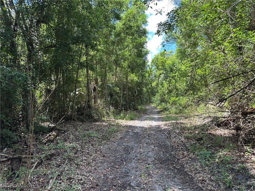 12880 Tower Road Bonita Springs FL 34135 225066881 image10