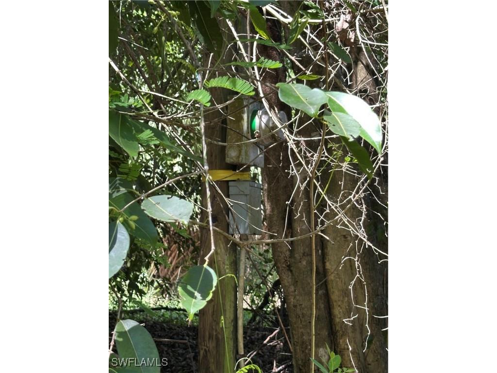 12880 Tower Road Bonita Springs FL 34135 225066881 image11