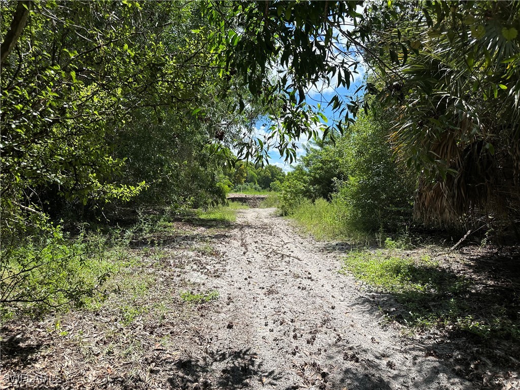 12880 Tower Road Bonita Springs FL 34135 225066881 image14