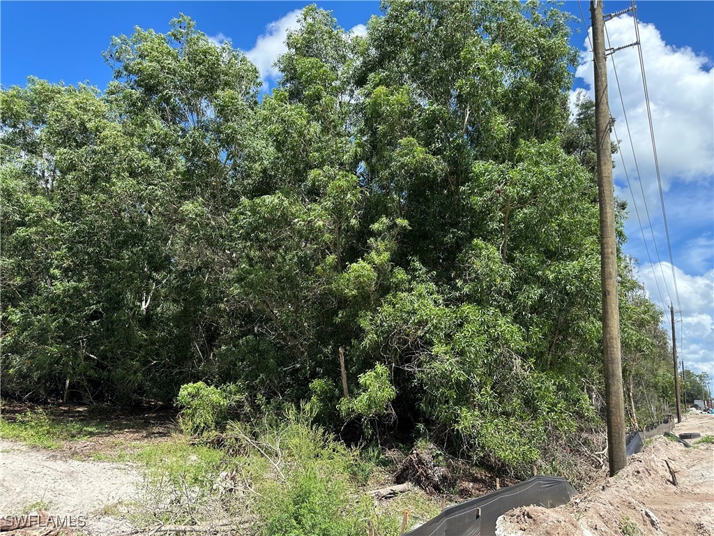 12880 Tower Road Bonita Springs FL 34135 225066881 image15