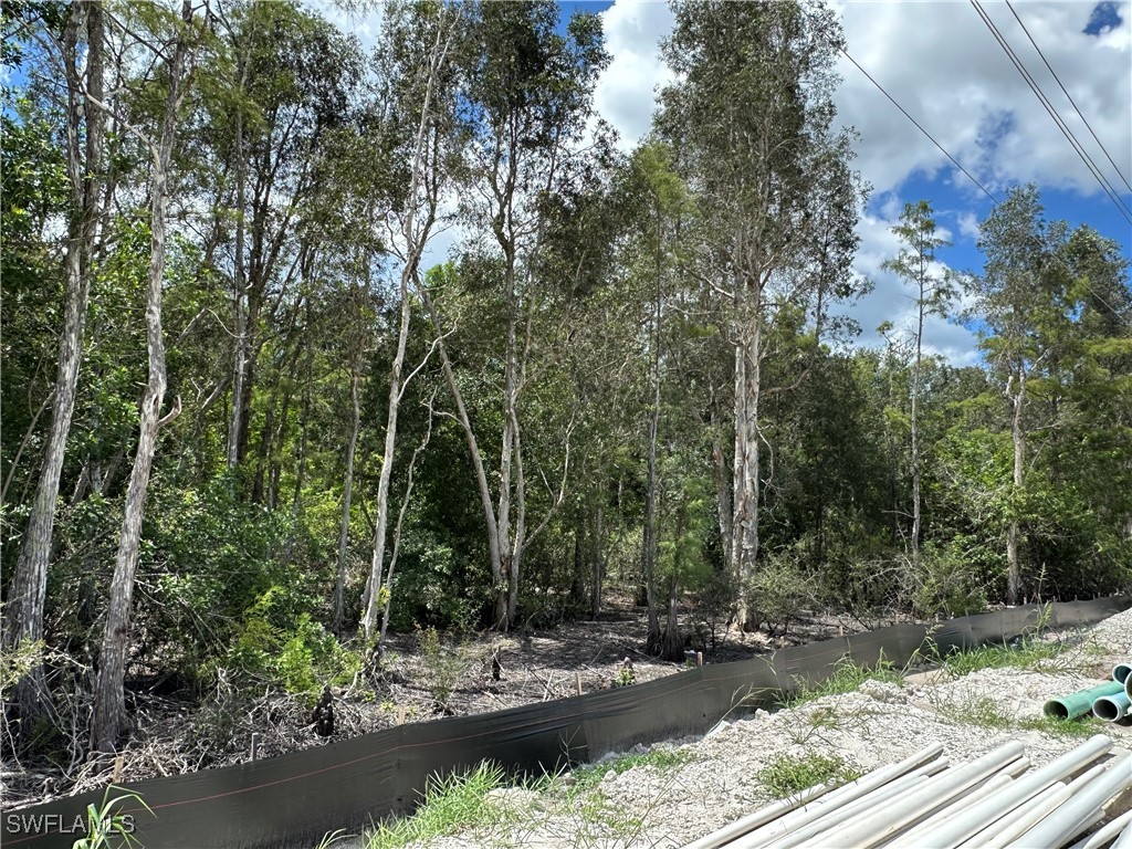 12880 Tower Road Bonita Springs FL 34135 225066881 image21