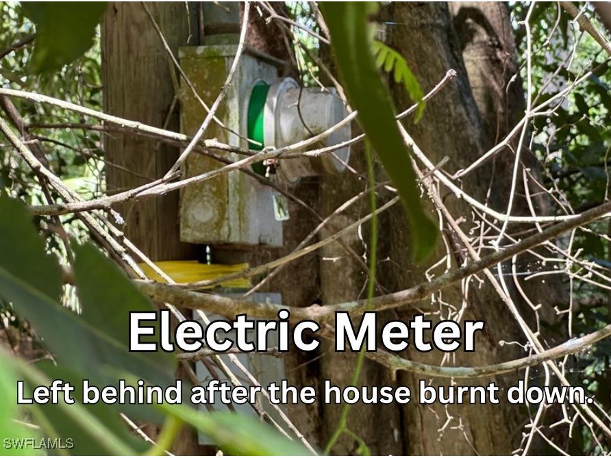 12880 Tower Road Bonita Springs FL 34135 225066881 image5