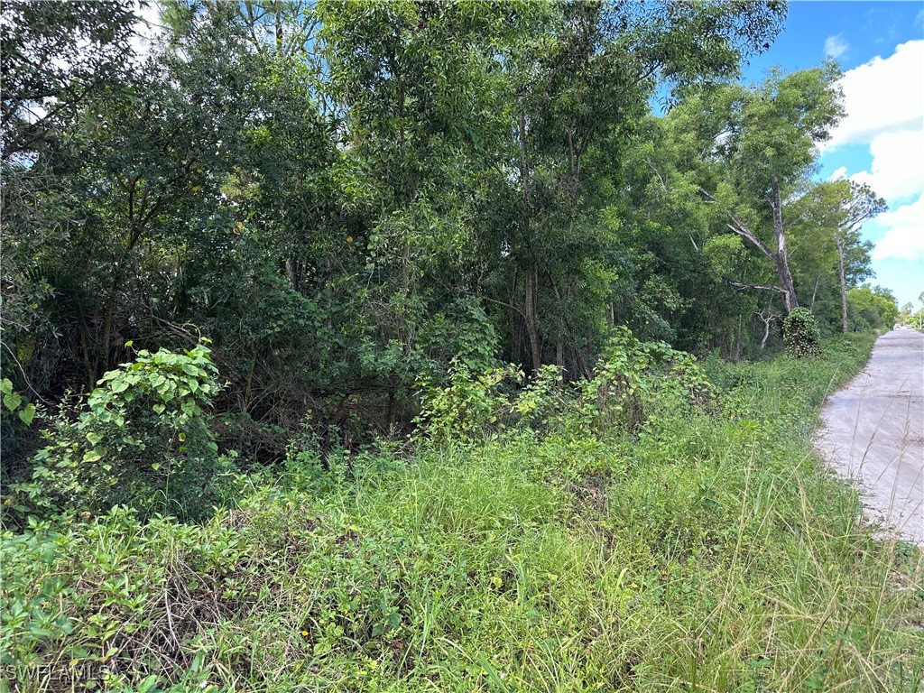 12880 Tower Road Bonita Springs FL 34135 225066881 image6