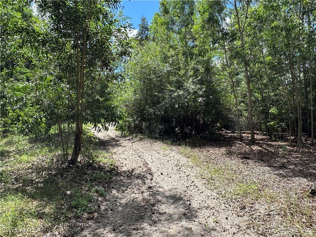 12880 Tower Road Bonita Springs FL 34135 225066881 image8