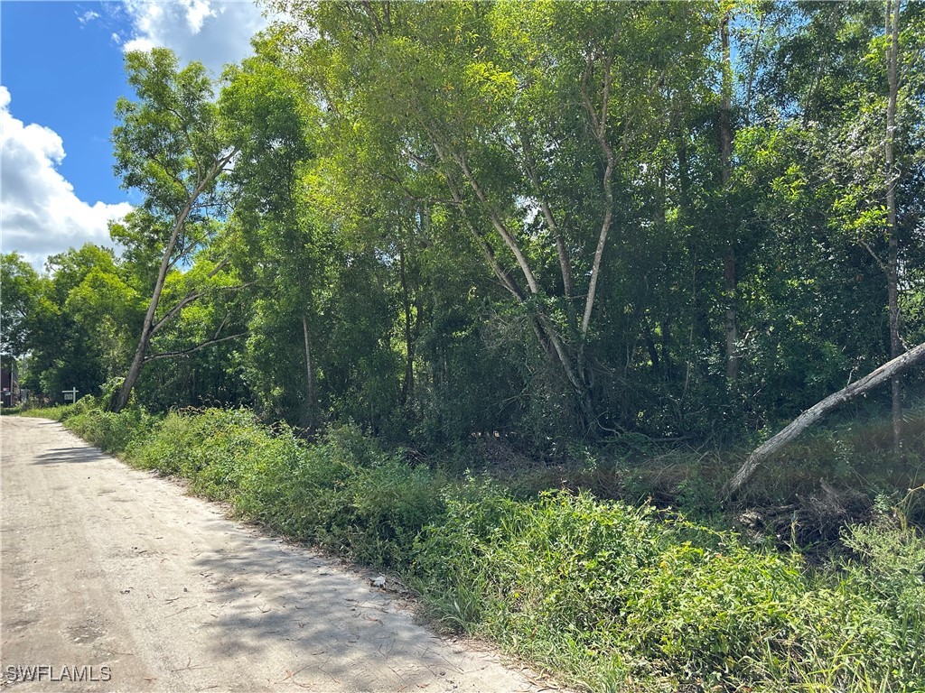 12880 Tower Road Bonita Springs FL 34135 225066881 image9