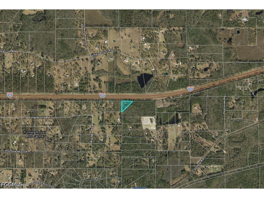 13-19-20-218-0000 Tung Grove Road Tallahassee FL 32317 2026021377 image2