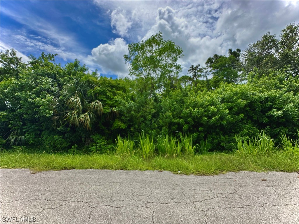 13 Edward Avenue Lehigh Acres FL 33936 223054395 image1