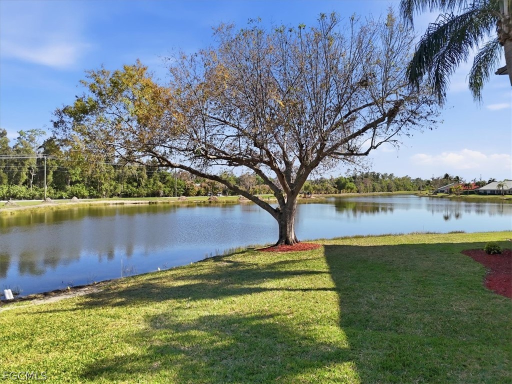 13011 Cross Creek Boulevard #1273 Fort Myers FL 33912 2026008538 image35