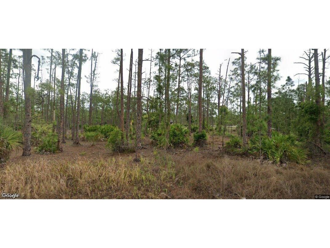 1302 Broadway Avenue Lehigh Acres FL 33972 224095529 image1