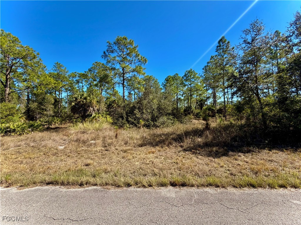 1302 Palmetto Avenue Lehigh Acres FL 33972 2026004675 image1