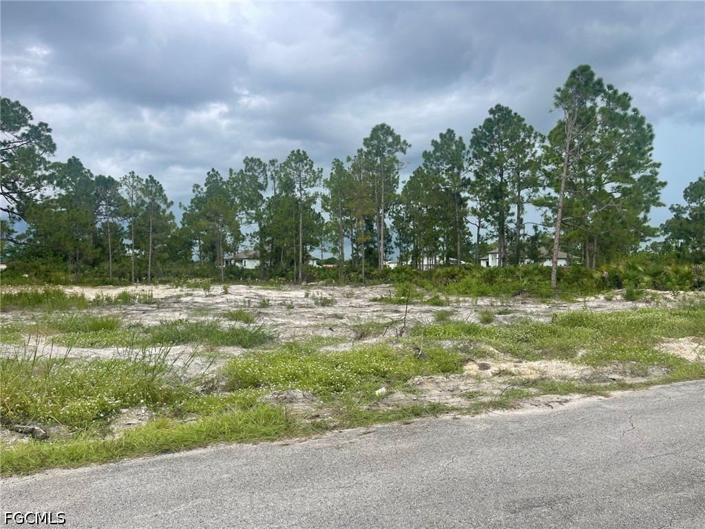 1302 Prospect Avenue Lehigh Acres FL 33972 2026016253 image1