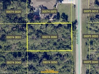 1303 Ann Avenue N Lehigh Acres FL 33971 223066312 image1