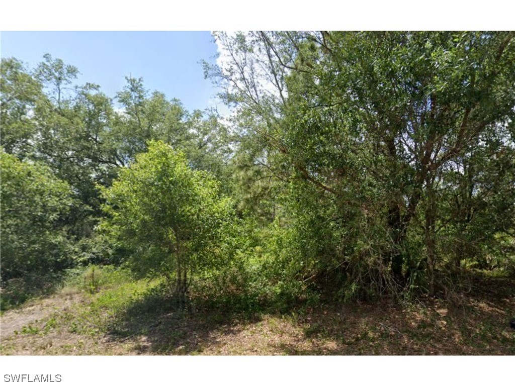 1303 Grant Avenue Lehigh Acres FL 33972 223080594 image1