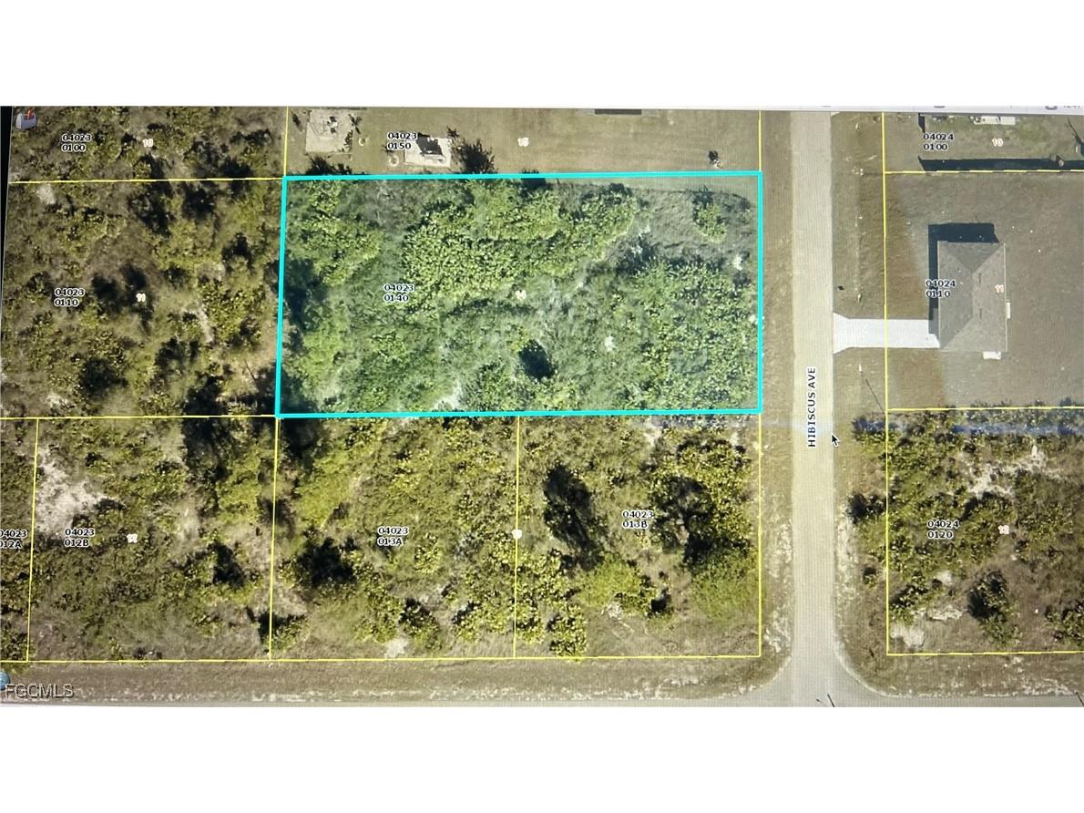 1303 Hibiscus Avenue Lehigh Acres FL 33972 2025017193 image1