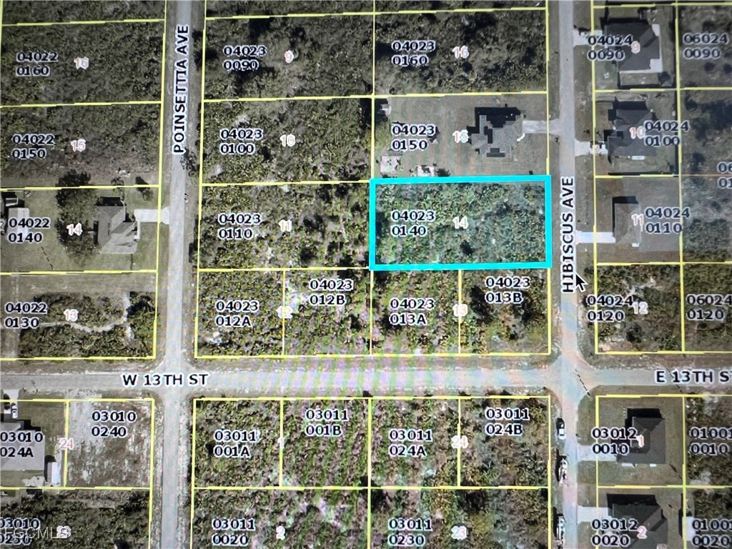 1303 Hibiscus Avenue Lehigh Acres FL 33972 2025017193 image2