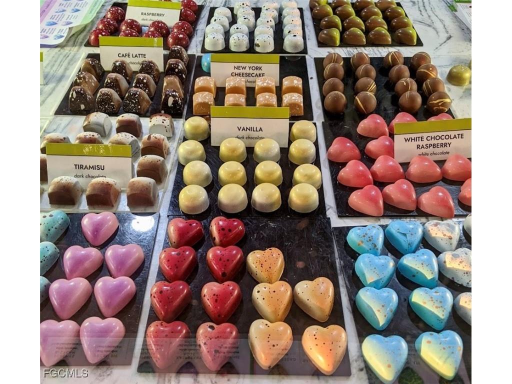 1303 SW 16th Terrace #102 Cape Coral FL 33991 2025004095 image42