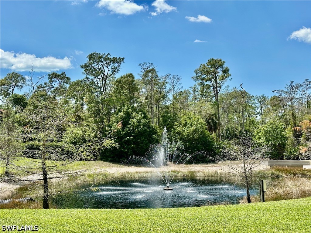 1303 Verde Drive #1603 Naples FL 34105 226013227 image32