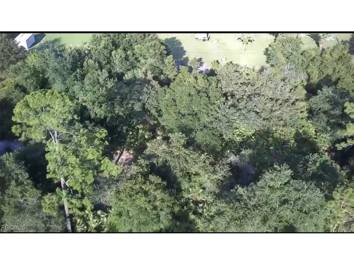 1304 Irving Avenue Lehigh Acres FL 33972 2025003261 image3