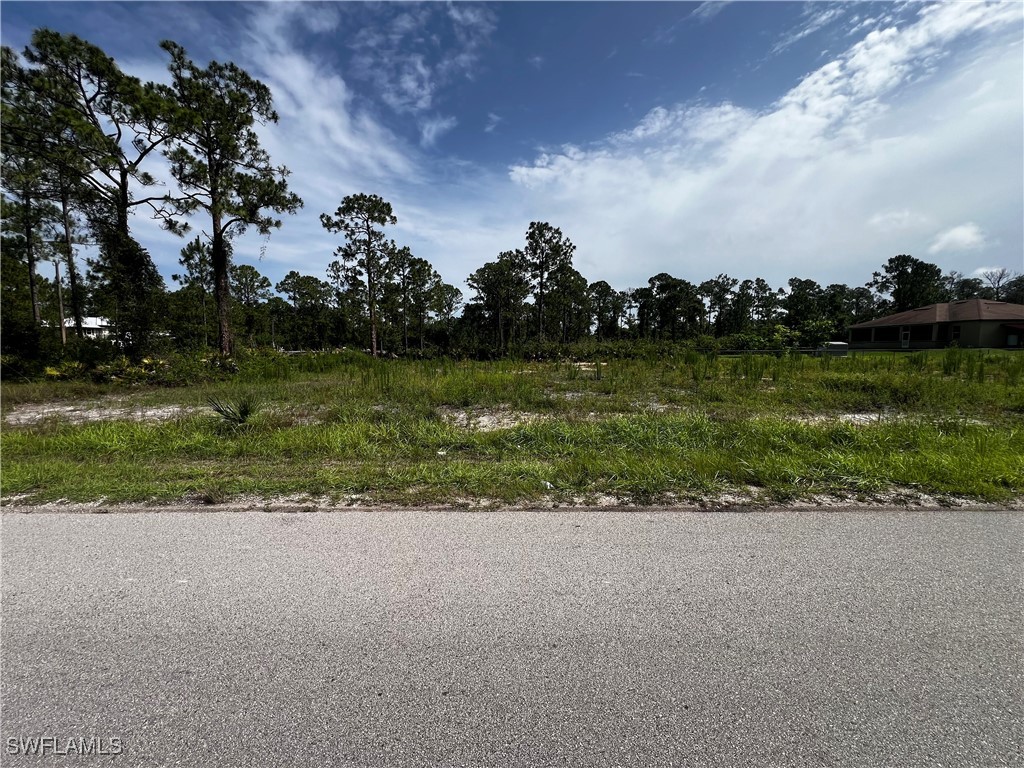 1304 W 9th Street Lehigh Acres FL 33972 225059165 image2