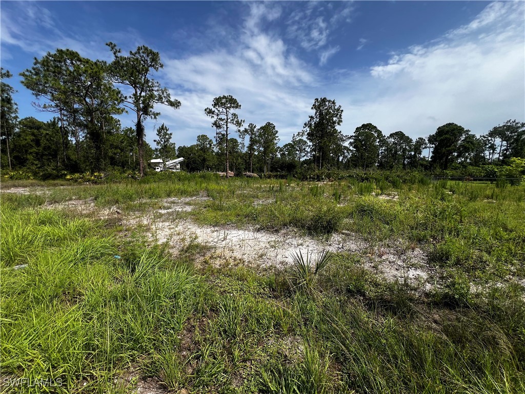 1304 W 9th Street Lehigh Acres FL 33972 225059165 image3