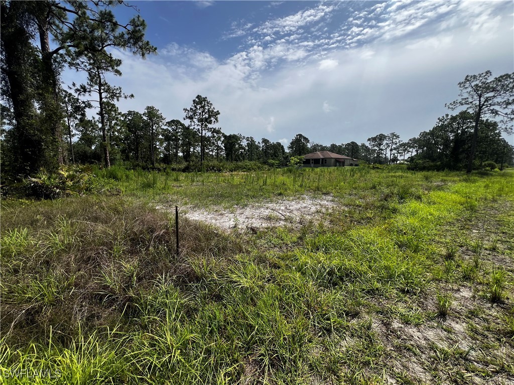 1304 W 9th Street Lehigh Acres FL 33972 225059165 image5