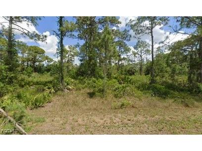 1306 Canton Avenue Lehigh Acres FL 33972 2025015712 image1