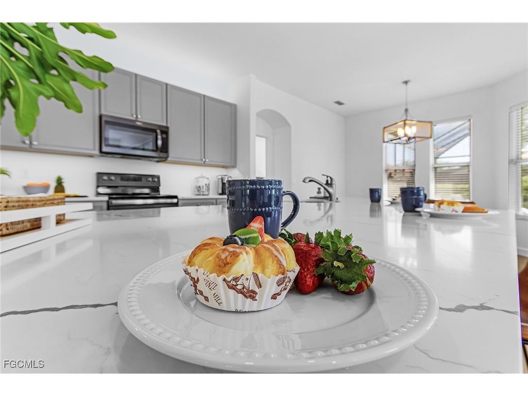 13060 Sail Away Street North Fort Myers FL 33903 2025018511 image14