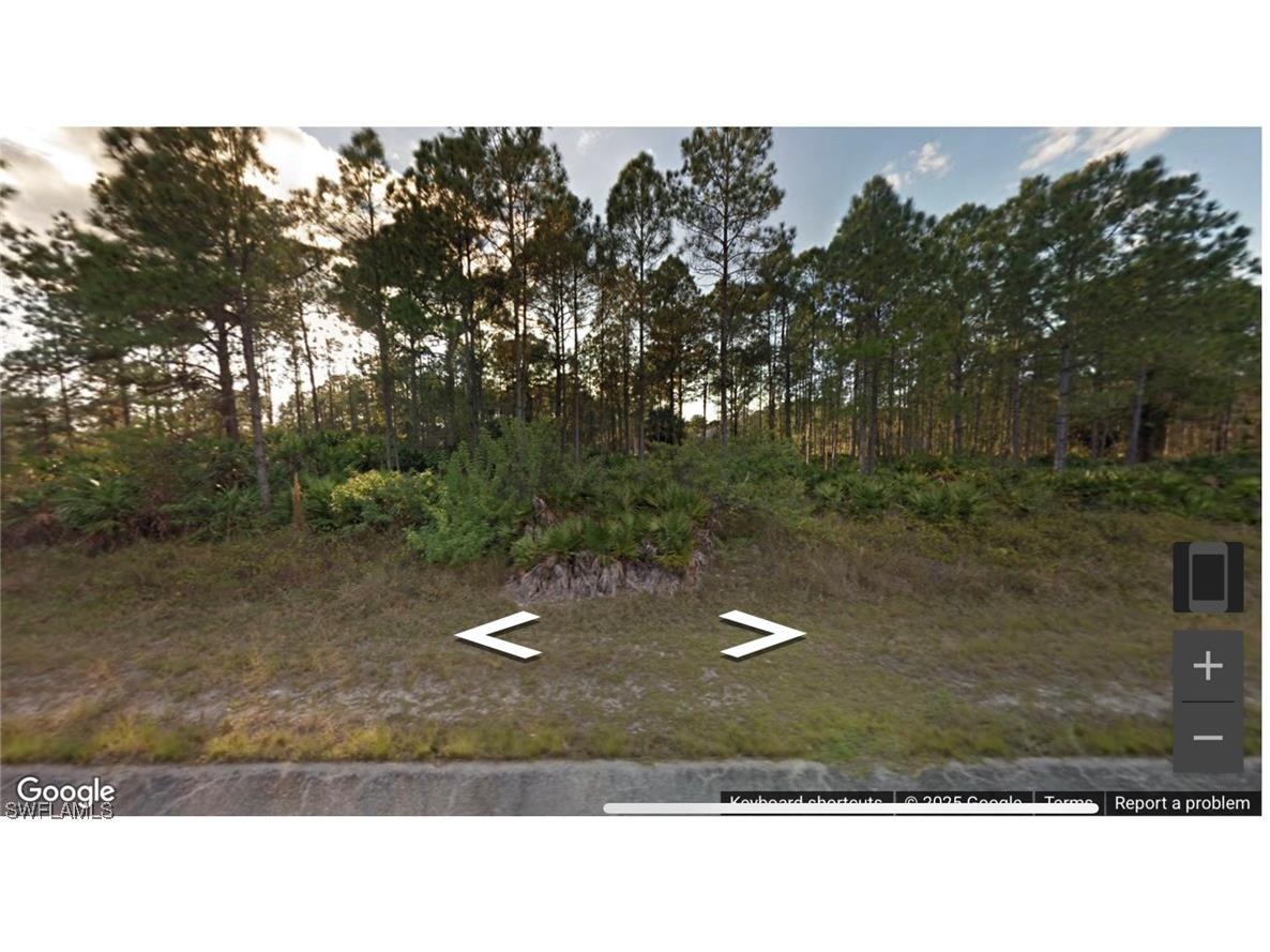 1307 Louis Avenue Lehigh Acres FL 33972 225075582 image1