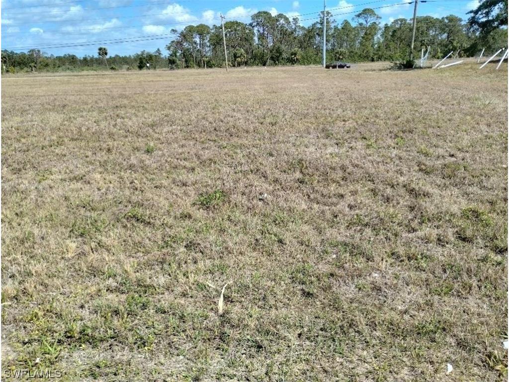 1307 NE 23rd Terrace Cape Coral FL 33909 223022803 image1