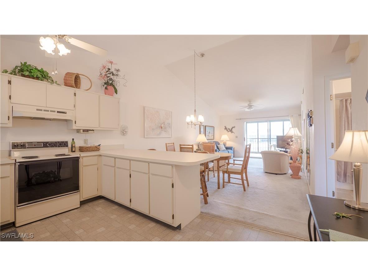 13080 White Marsh Lane #201 Fort Myers FL 33912 224067832 image1