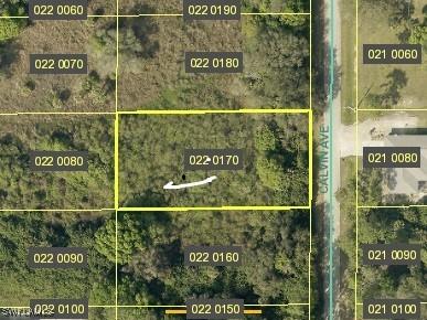 1309 Calvin Avenue Lehigh Acres FL 33972 225007287 image1