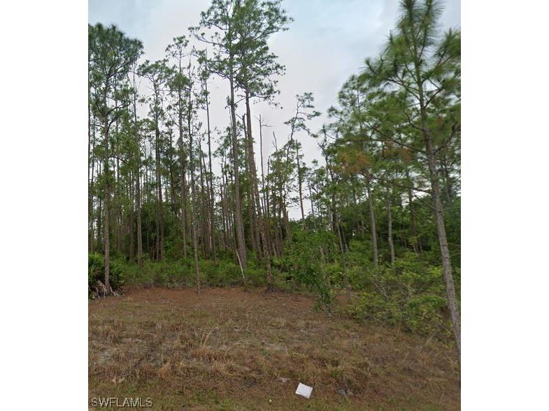 1309 Cleveland Avenue Lehigh Acres FL 33972 223048384 image1