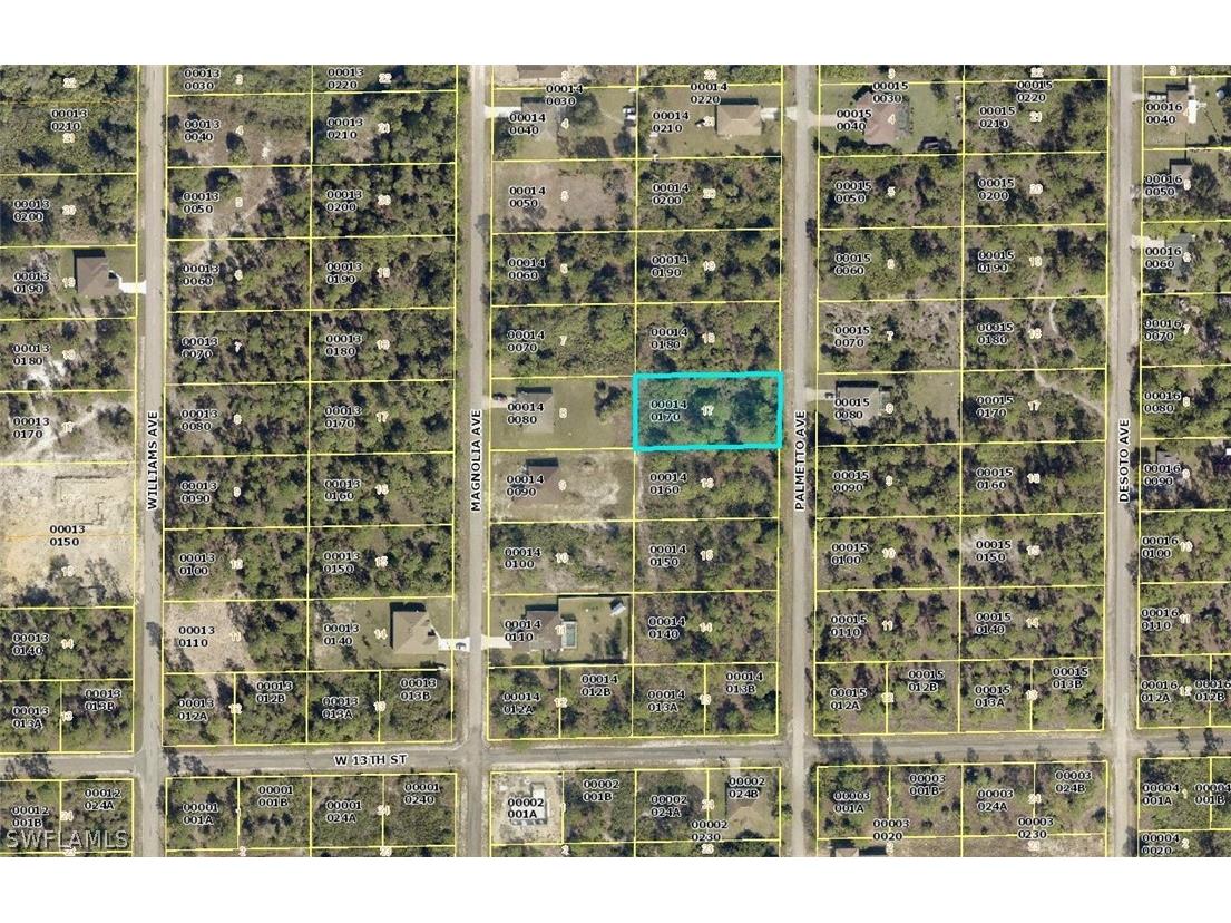 1309 Palmetto Avenue Lehigh Acres FL 33972 222061620 image1