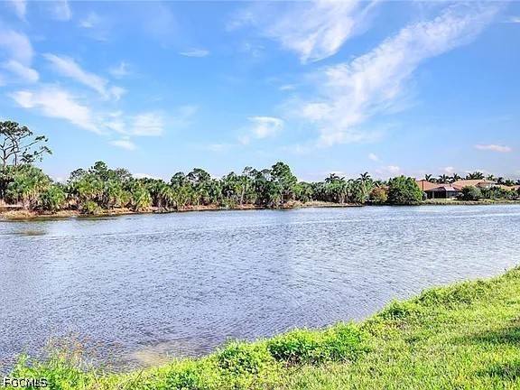 13092 Silver Thorn Loop North Fort Myers FL 33903 2026029388 image17