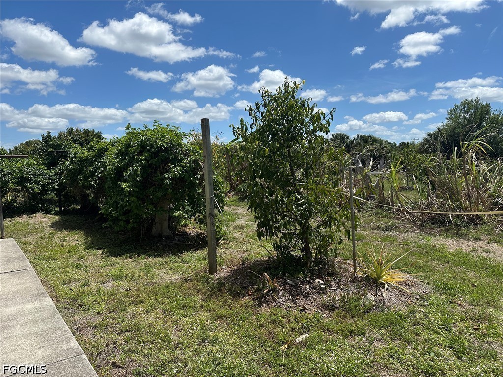 13098 Ficus Tree Lane Bokeelia FL 33922 2026016920 image10