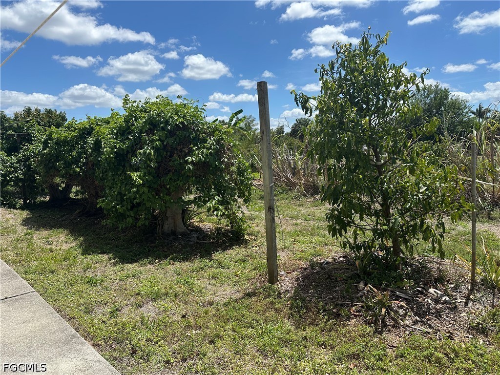 13098 Ficus Tree Lane Bokeelia FL 33922 2026016920 image8