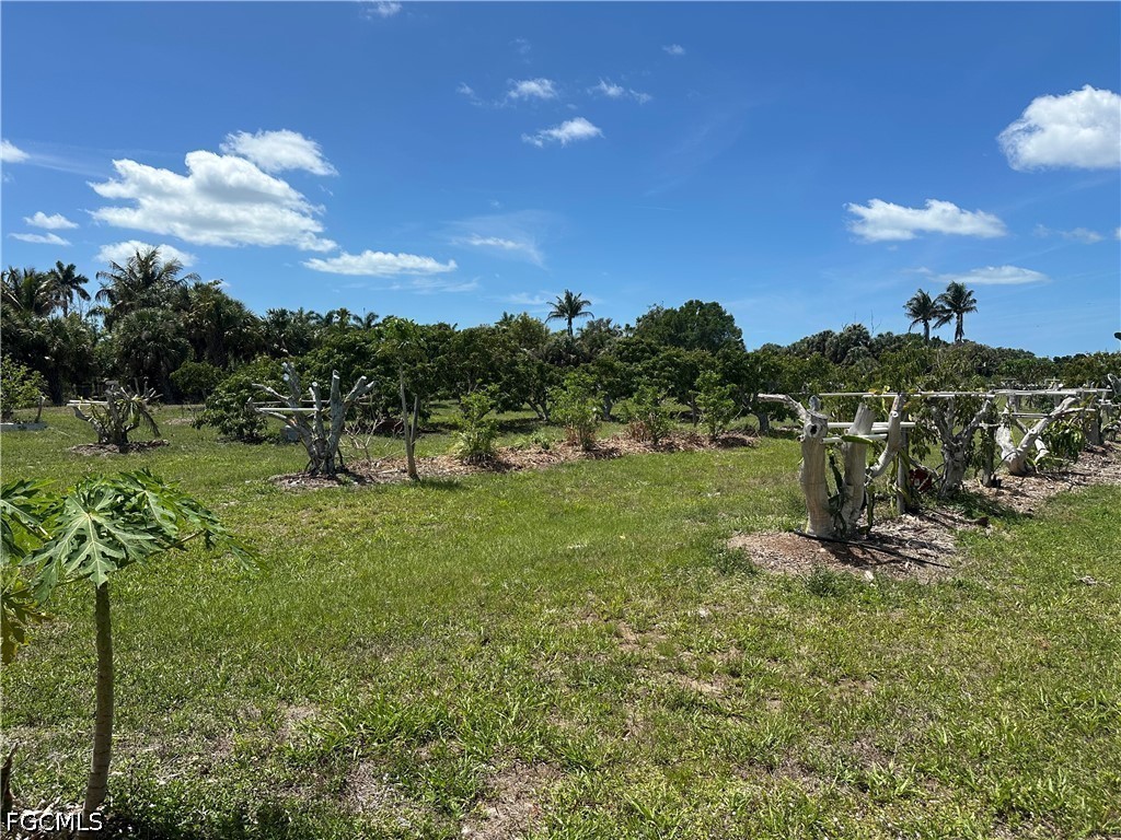 13098 Ficus Tree Lane Bokeelia FL 33922 2026016920 image9