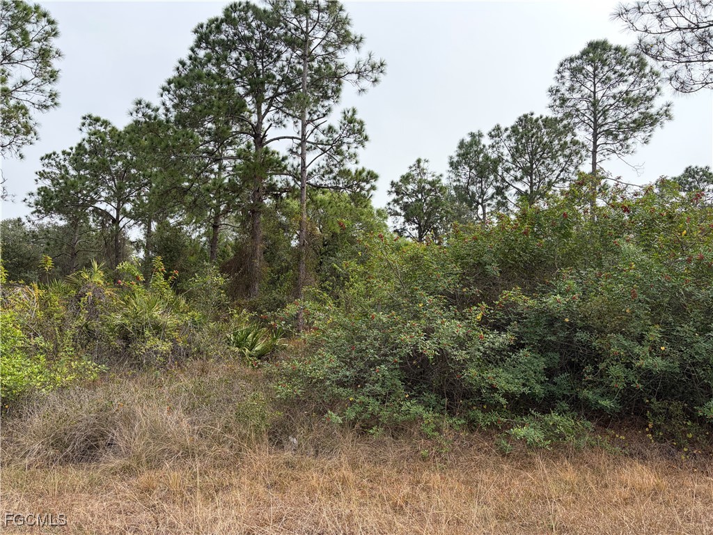 1310 Irving Avenue Lehigh Acres FL 33972 2025025871 image3