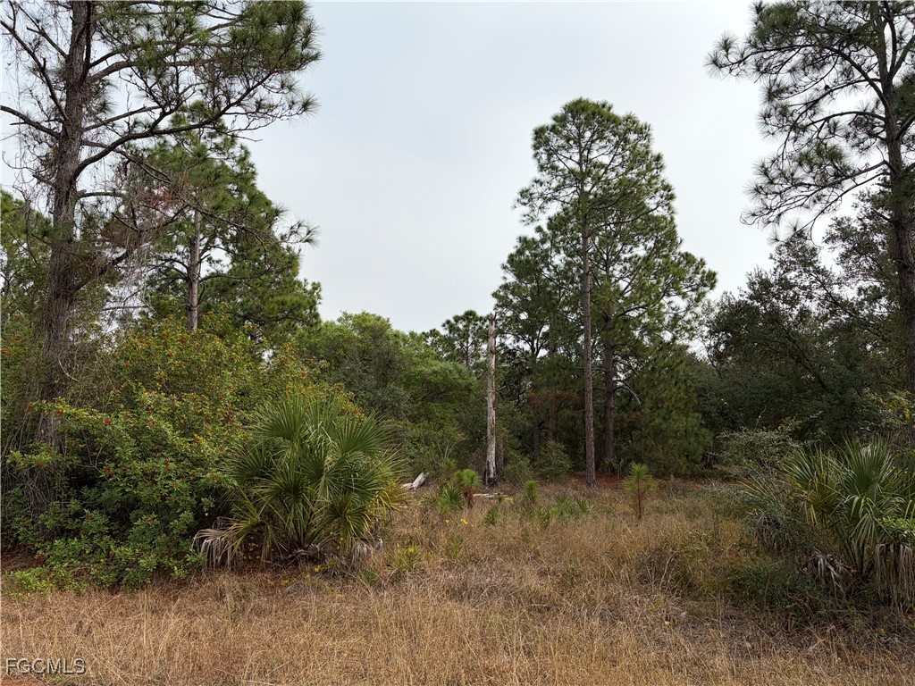 1310 Irving Avenue Lehigh Acres FL 33972 2025025871 image4