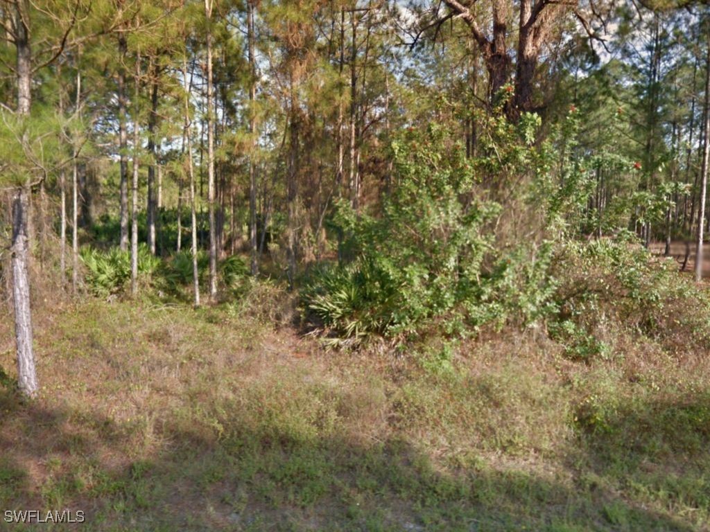 1310 Monroe Avenue Lehigh Acres FL 33972 225069171 image2