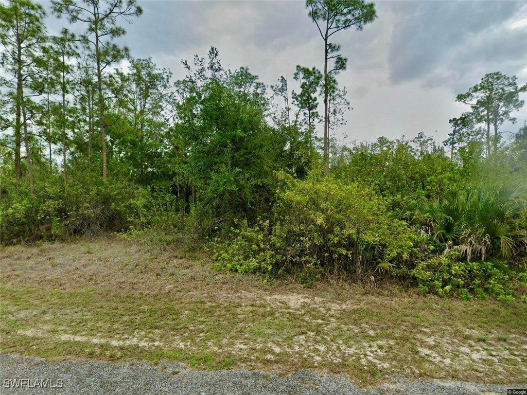 1310 Thompson Avenue Lehigh Acres FL 33972 226002880 image1