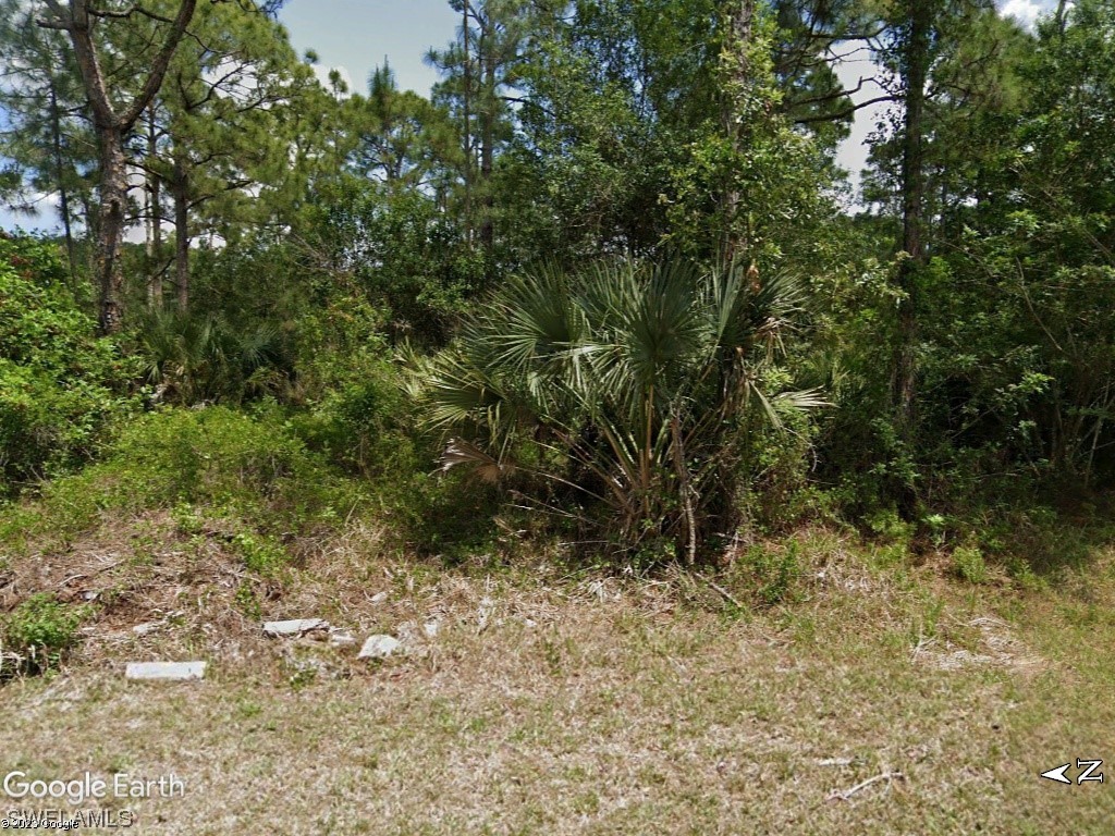1310 Truman Avenue Lehigh Acres FL 33972 223028016 image1
