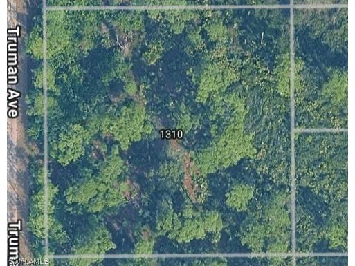 1310 Truman Avenue Lehigh Acres FL 33972 226007058 image1