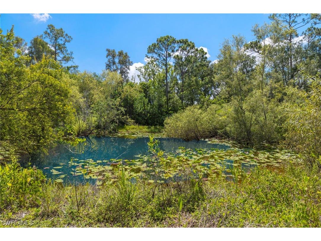 13100 Pinto Lane Fort Myers FL 33912 223044337 image4