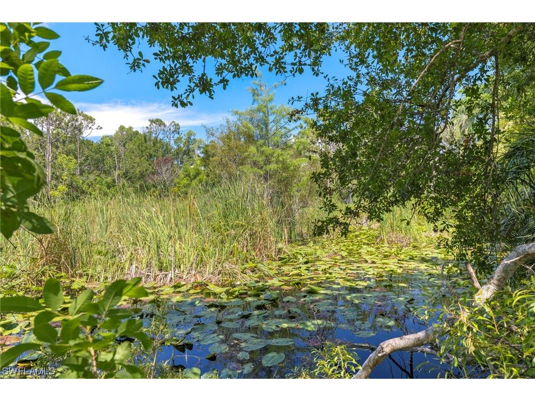 13100 Pinto Lane Fort Myers FL 33912 223044337 image7