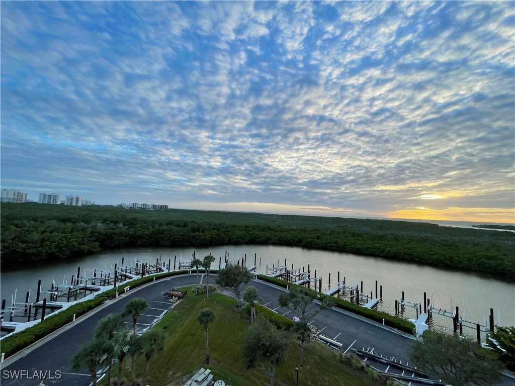 13105 Vanderbilt Drive #802 Naples FL 34110 225073771 image23