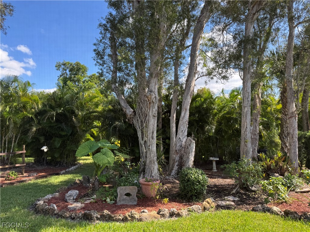 13108 Tall Pine Circle Fort Myers FL 33907 2025013957 image17